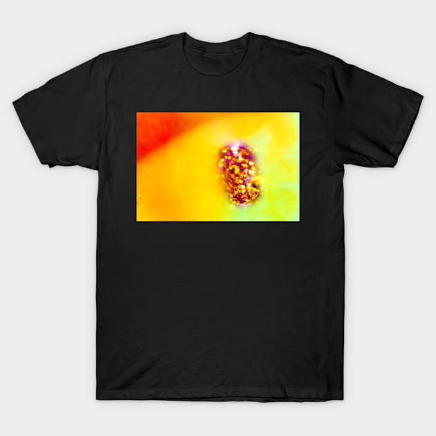 Orange and Yellow Oil and Water with Sparkles T-Shirt by heidiannemorris